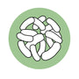 Galacto-olligosaccharides